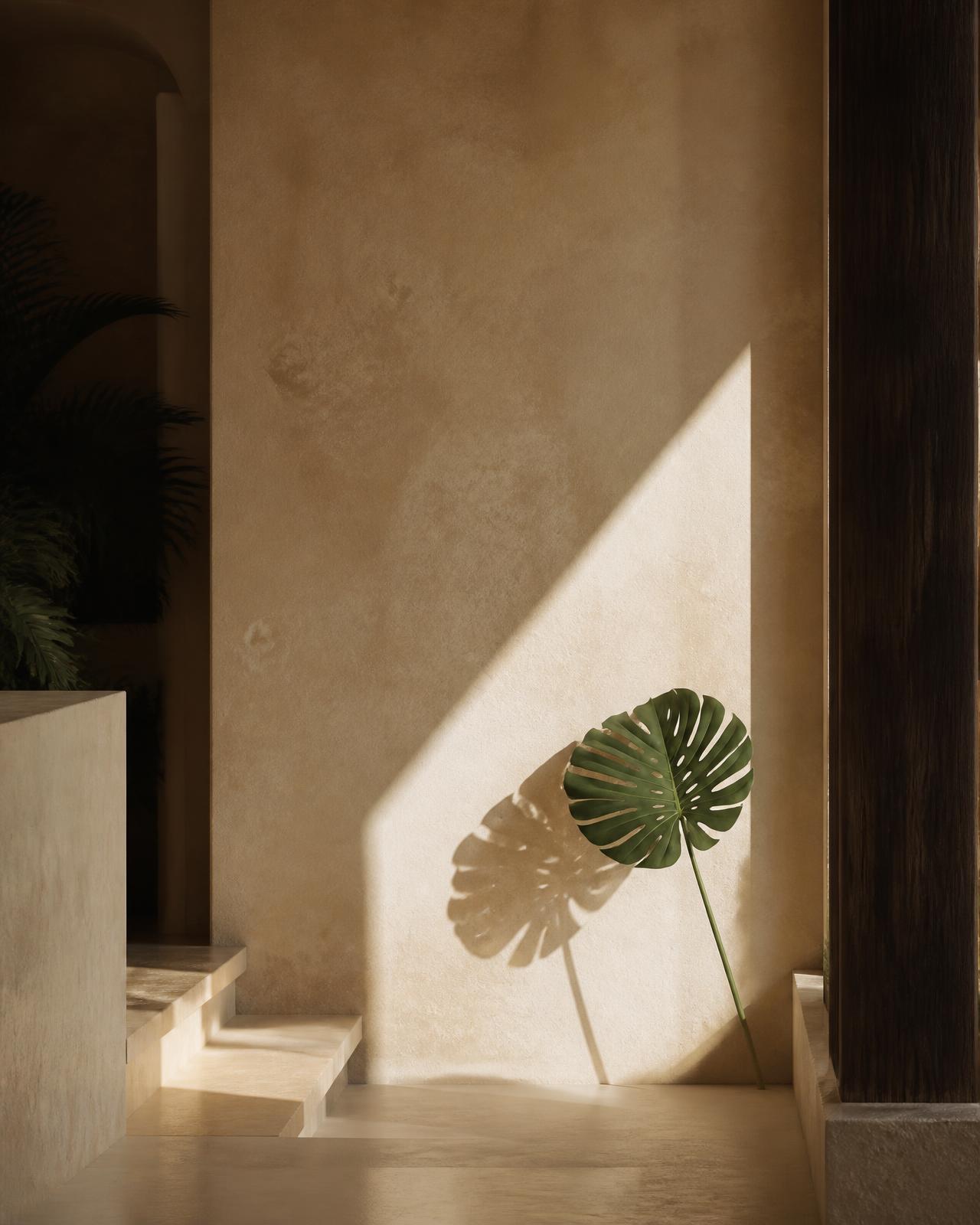 Limestone wall in warm daylight with a single leaf and its shadow